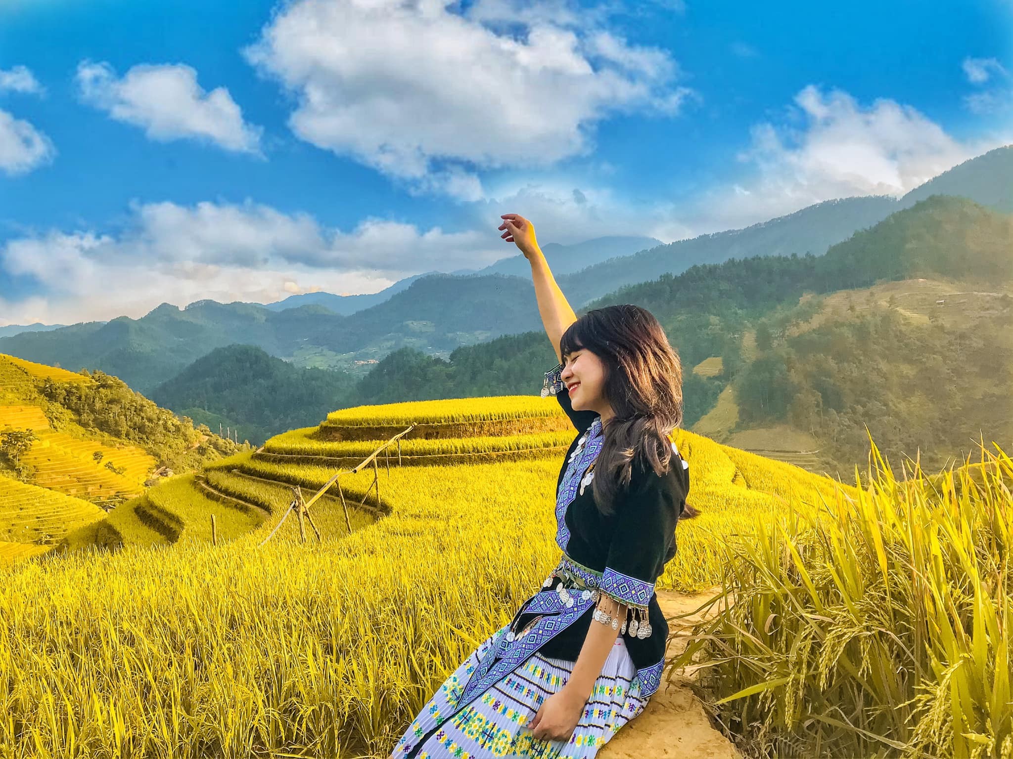 Trang phục tối màu và phụ kiện họa tiết nổi bật giữa ruộng lúa vàng
