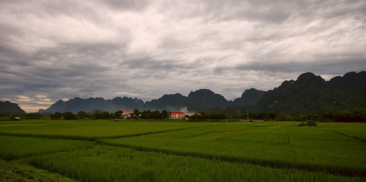 Cánh đồng và núi tại khu vực Kim Bôi